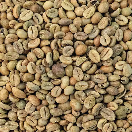Sample Coffee Image